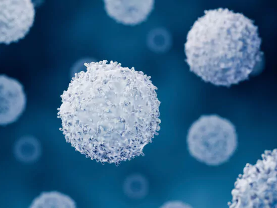 AdobeStock_771650171-768x414